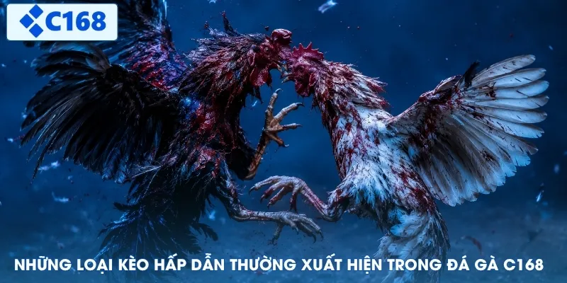 Những loại kèo hấp dẫn thường xuất hiện trong đá gà C168