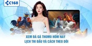 Xem Đá Gà Thomo Hôm Nay – Lịch Thi Đấu Và Cách Theo Dõi